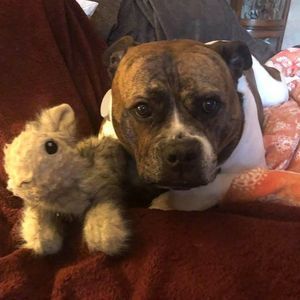 Meet your Posher, Connie